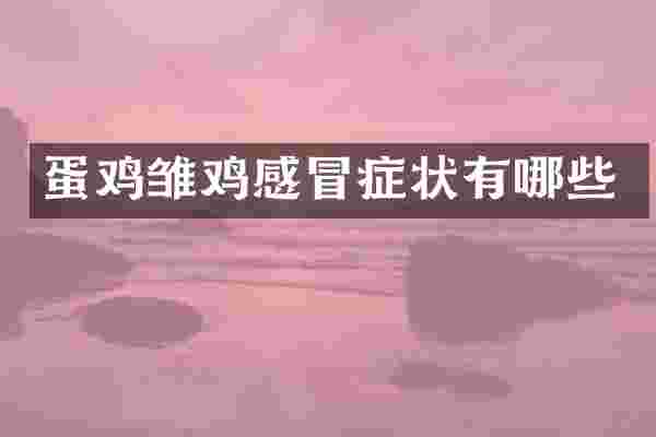 蛋鸡雏鸡感冒症状有哪些