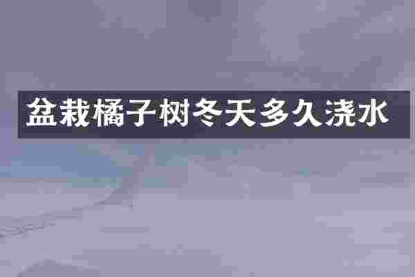 盆栽橘子树冬天多久浇水