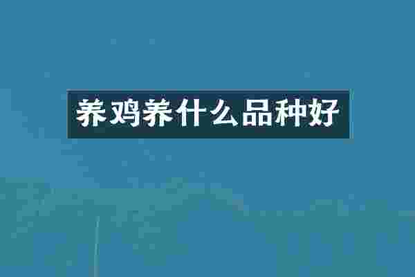 养鸡养什么品种好