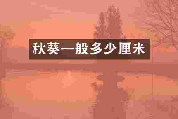 秋葵一般多少厘米