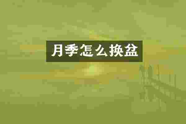 月季怎么换盆