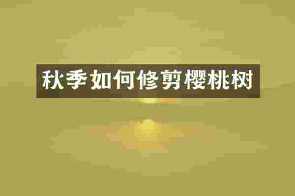秋季如何修剪樱桃树