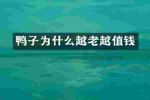 鸭子为什么越老越值钱