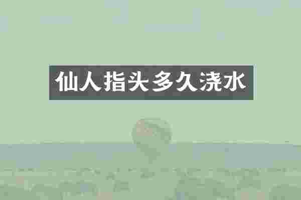 仙人指头多久浇水