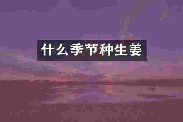 什么季节种生姜