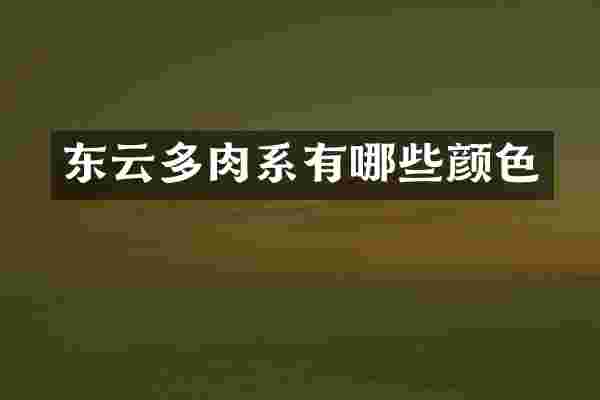 东云多肉系有哪些颜色