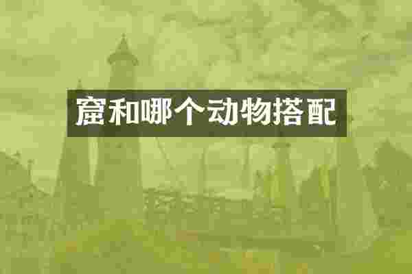 窟和哪个动物搭配