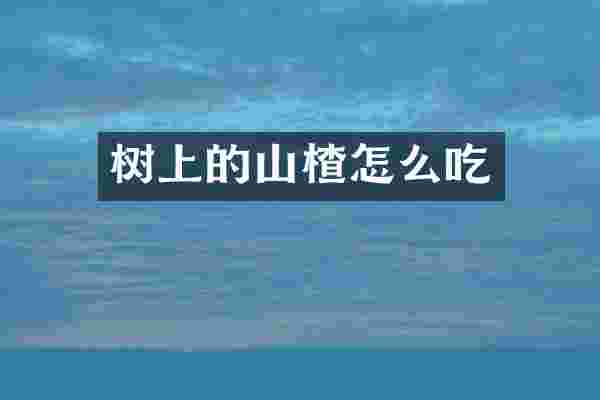 树上的山楂怎么吃