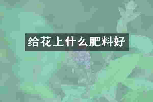 给花上什么肥料好