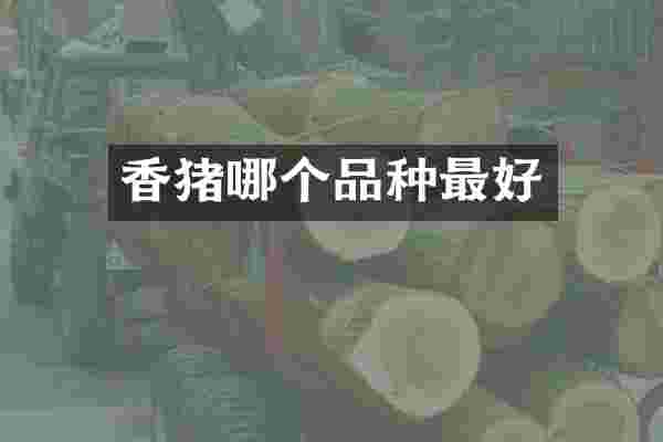 香猪哪个品种最好