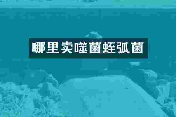哪里卖噬菌蛭弧菌