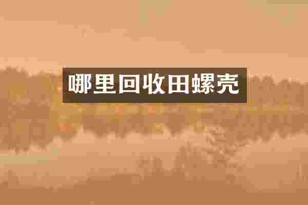 哪里回收田螺壳
