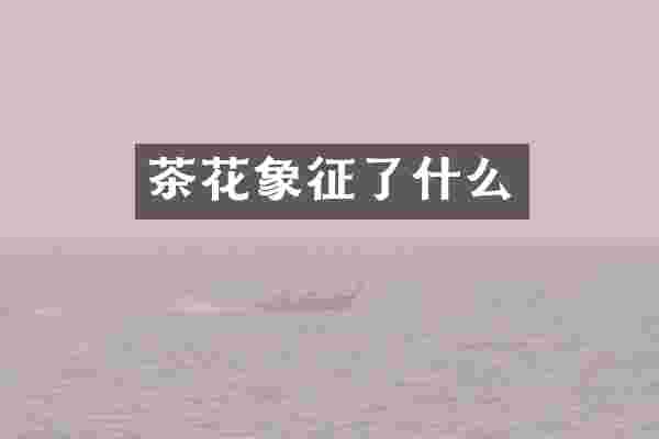 茶花象征了什么