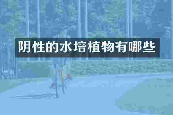 阴性的水培植物有哪些