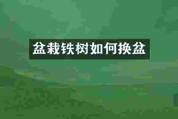 盆栽铁树如何换盆