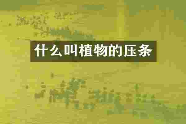 什么叫植物的压条