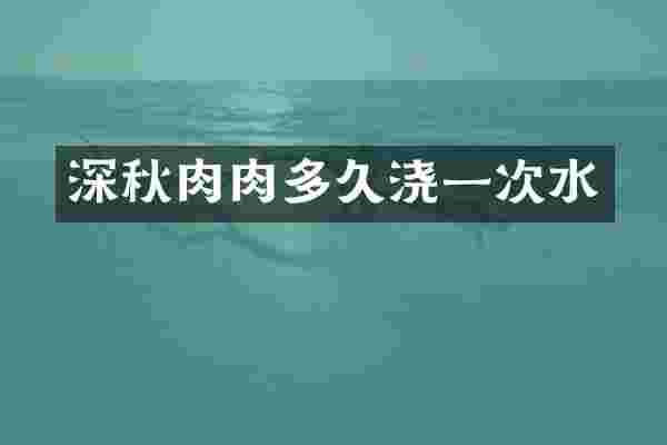 深秋肉肉多久浇一次水