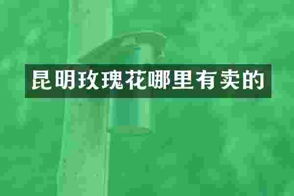 昆明玫瑰花哪里有卖的
