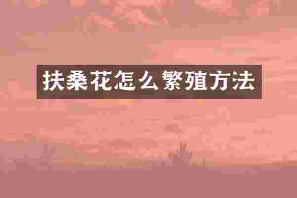 扶桑花怎么繁殖方法