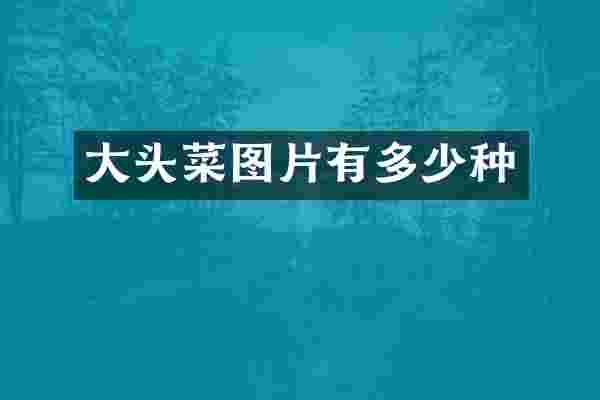 大头菜图片有多少种