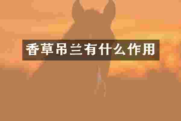 香草吊兰有什么作用