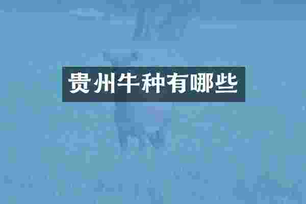 贵州牛种有哪些