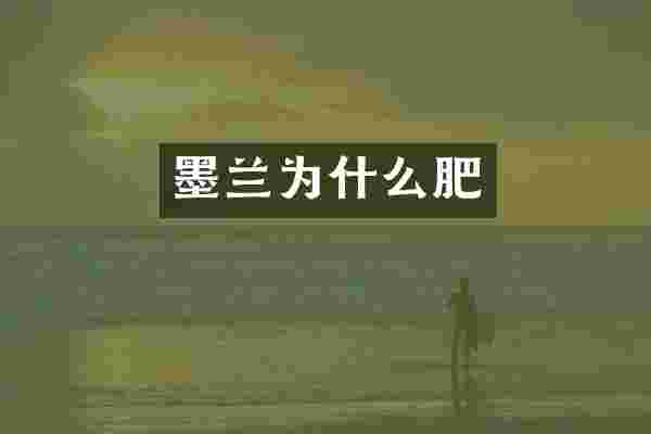 墨兰为什么肥