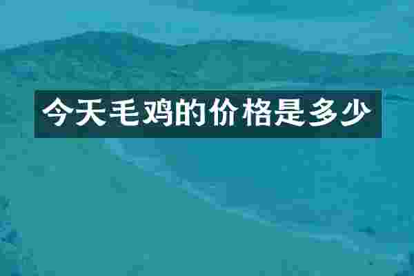 今天毛鸡的价格是多少