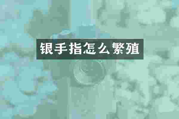 银手指怎么繁殖