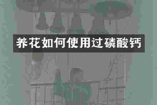 养花如何使用过磷酸钙