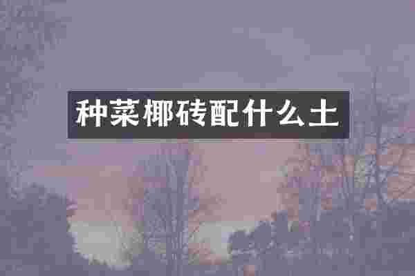 种菜椰砖配什么土