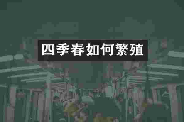 四季春如何繁殖