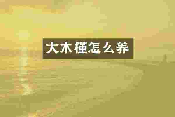 大木槿怎么养