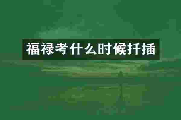福禄考什么时候扦插