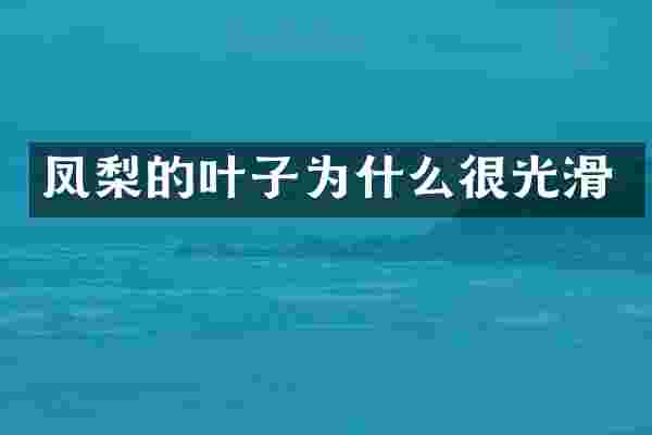 凤梨的叶子为什么很光滑