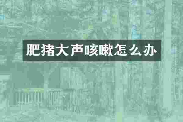 肥猪大声咳嗽怎么办