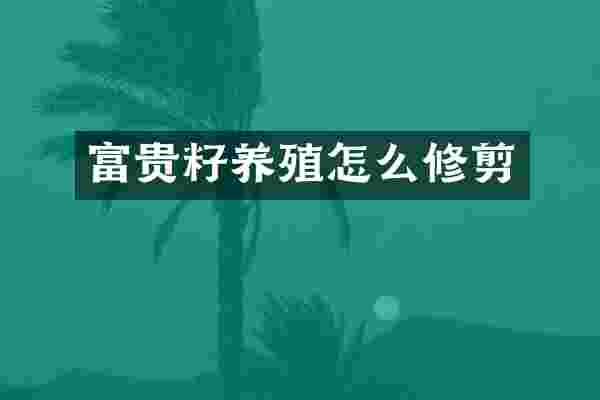富贵籽养殖怎么修剪