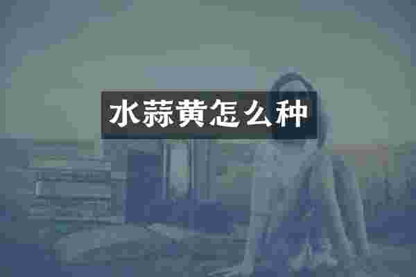 水蒜黄怎么种