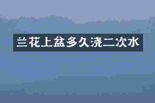 兰花上盆多久浇二次水