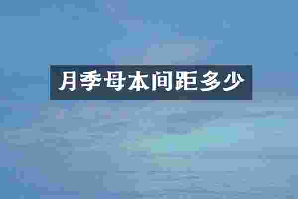 月季母本间距多少