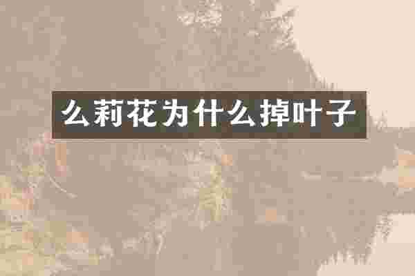 么莉花为什么掉叶子