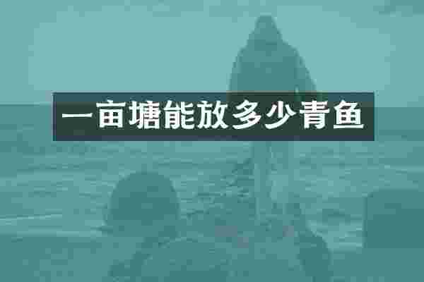 一亩塘能放多少青鱼