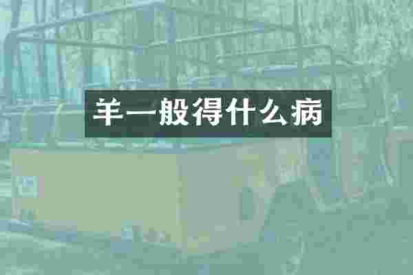 羊一般得什么病