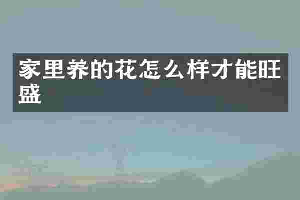 家里养的花怎么样才能旺盛