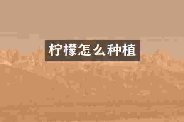 柠檬怎么种植