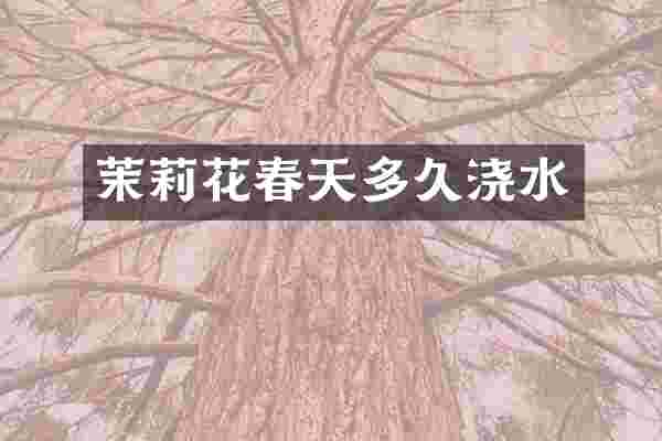 茉莉花春天多久浇水
