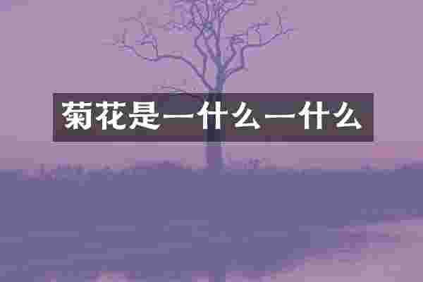 菊花是一什么一什么