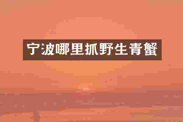 宁波哪里抓野生青蟹