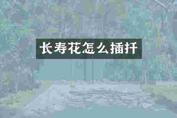长寿花怎么插扦
