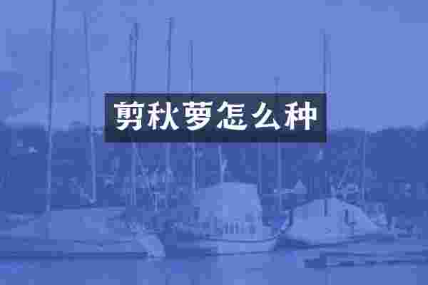剪秋萝怎么种